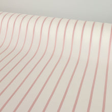 Load image into Gallery viewer, Cantina Viscose Stripe Shirting - Blush