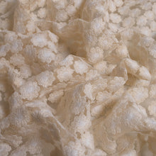 Load image into Gallery viewer, Sweet Daisy Embroidered Mesh - Cream