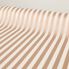 Load image into Gallery viewer, Rialto Mesh Window Stripe - Beige Pink & White