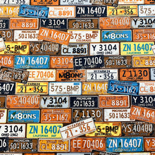 Load image into Gallery viewer, Printed Canvas - Licence Plates