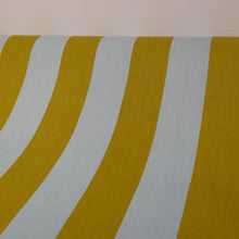 Load image into Gallery viewer, Cotton Stripe Print Deadstock - Sky &amp; Pear

