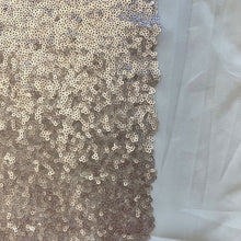 Load image into Gallery viewer, Sequins - Blush
