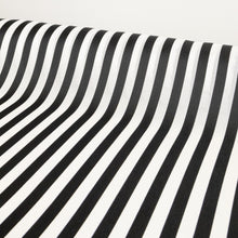 Load image into Gallery viewer, Rialto Mesh Window Stripe - Black White
