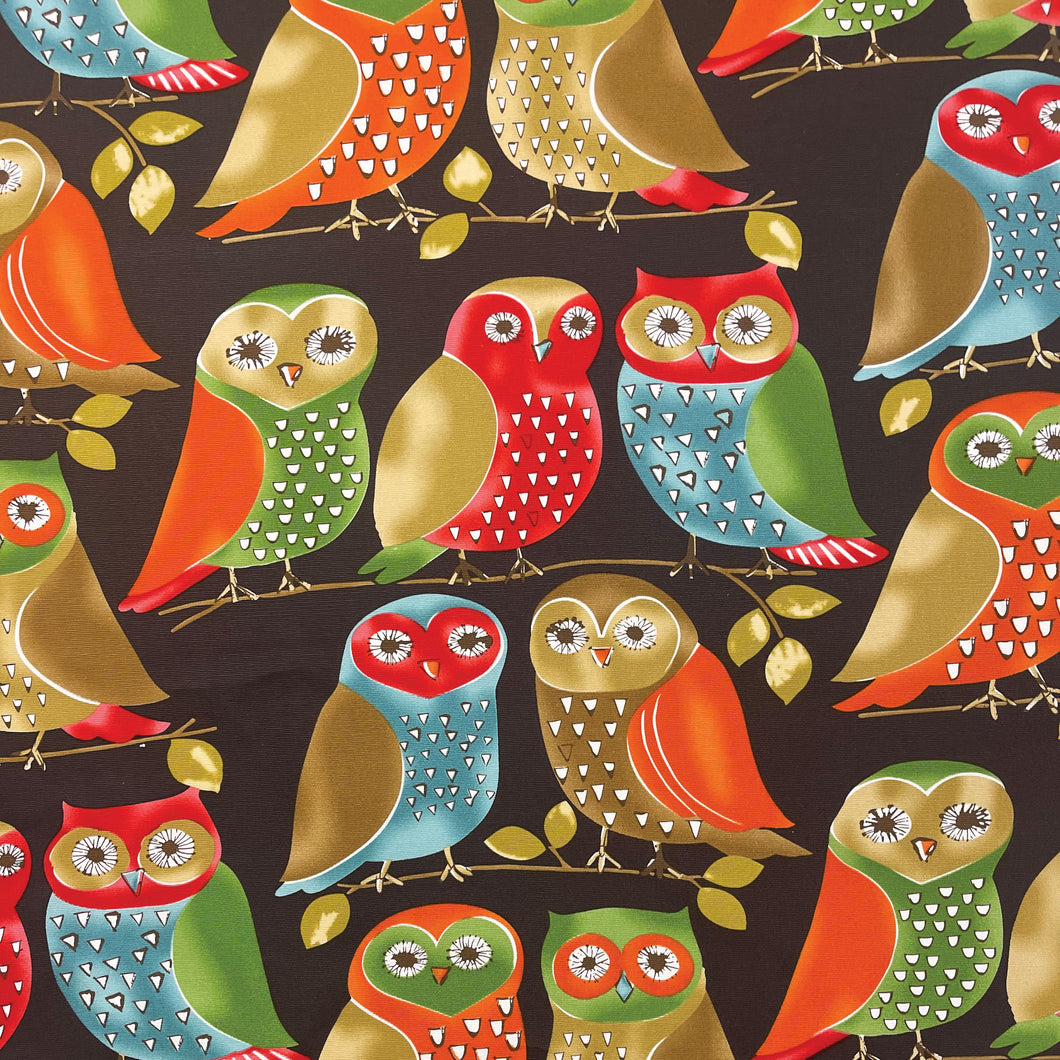 Printed Canvas - Bright Owl