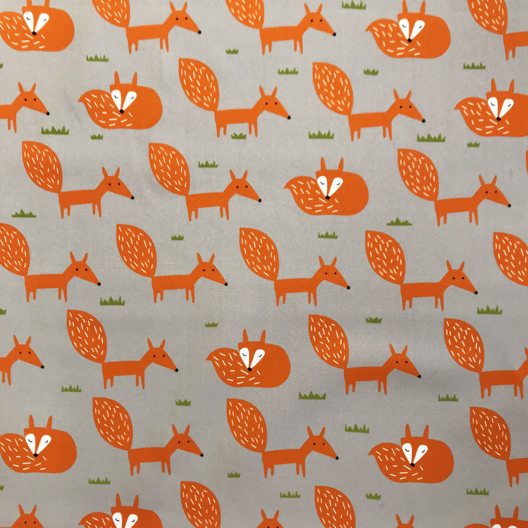 Printed Canvas - Orange Fox
