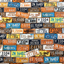 Load image into Gallery viewer, Printed Canvas - Licence Plates
